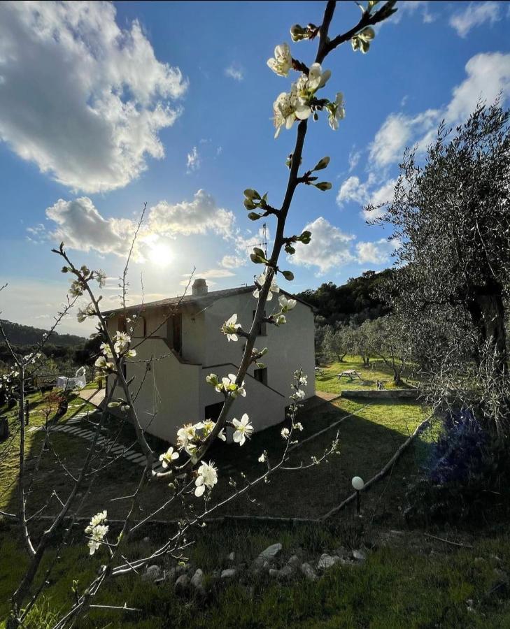 Agriturismo Il Sorbo Appartamento Menta Sticciano Buitenkant foto
